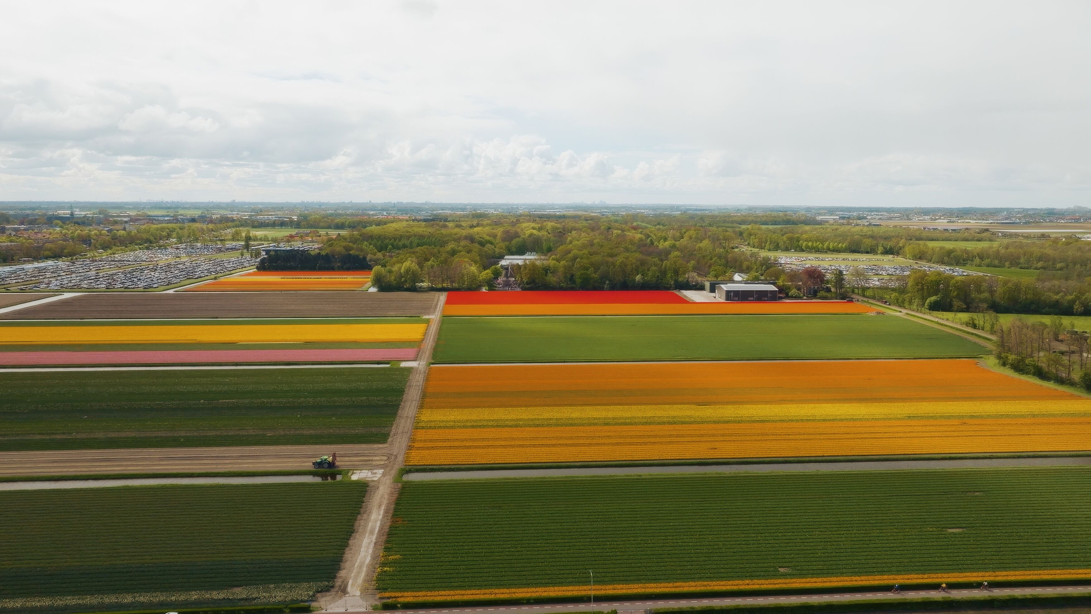 Tulpen landschap Zuid-Holland Noord